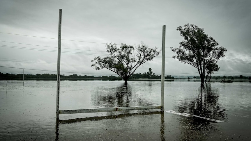 Pianure alluvionali a Windsor, a ovest di Sydney con obiettivi di rugby in primo piano.