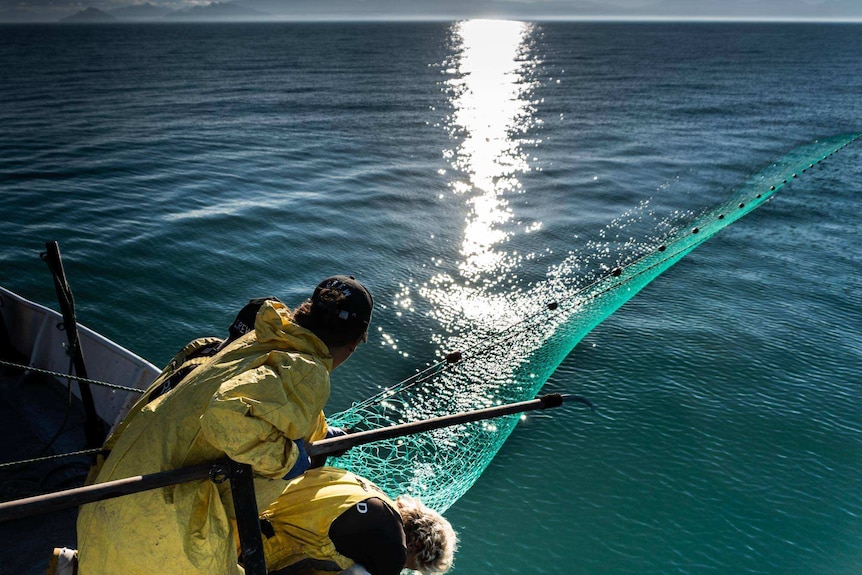 Three people wearing yellow jackets on a boat reel in a net spaning several meters into the sea.