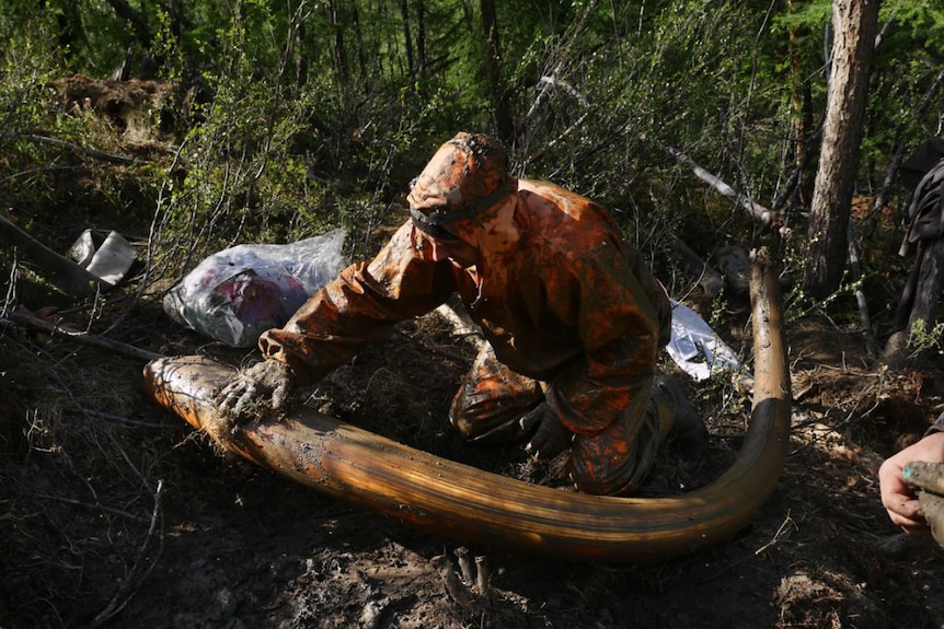man with a mammoth tusk