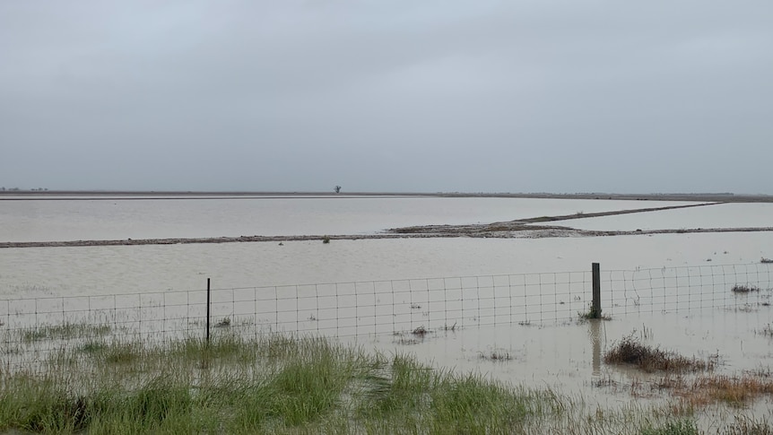 A flooded paddock with partially submerged fences.