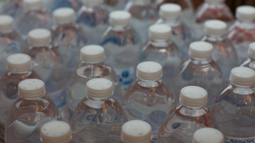 Above view of several plastic bottles of water with white lid