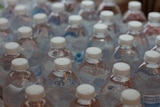 Above view of several plastic bottles of water with white lid
