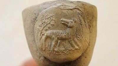 The base of a clay pipe depicting a carving of a Tasmanian tiger.
