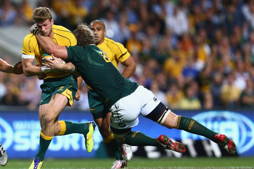 Tight contest ... Dom Shipperley meets the Springboks defence