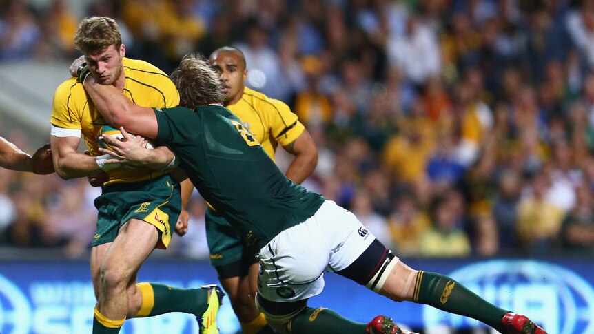 Tight contest ... Dom Shipperley meets the Springboks defence