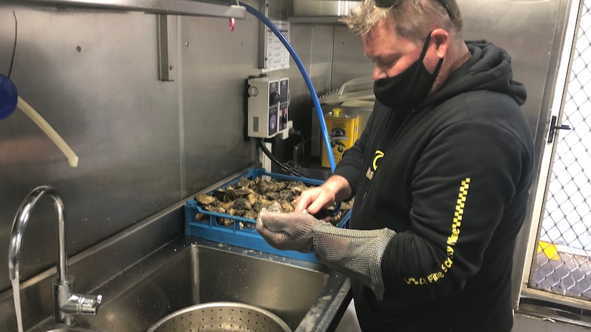 Owner of a seafood restaurant shucking oysters to sell after snap lockdown