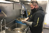 Owner of a seafood restaurant shucking oysters to sell after snap lockdown