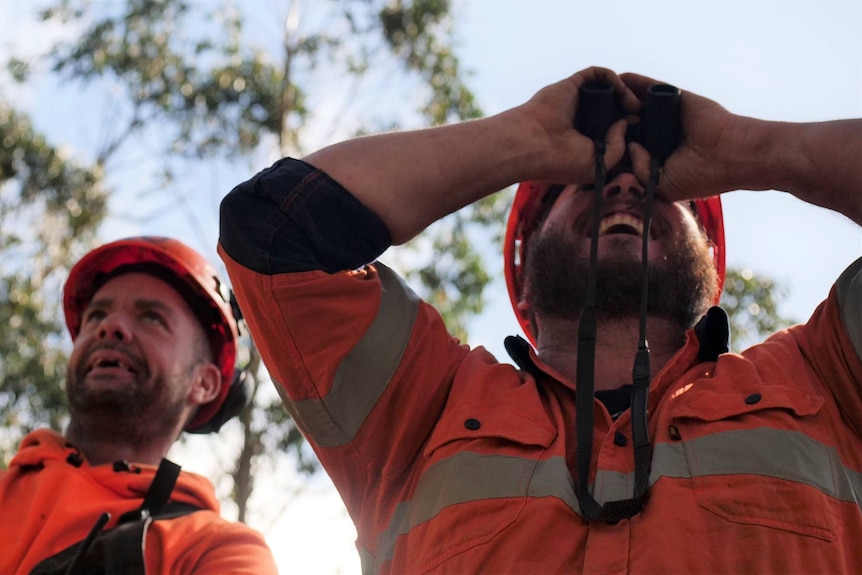 Two men look into the forest, one looks through binoculars