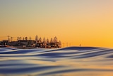 A picture looking from the water back towards Altona at sunrise