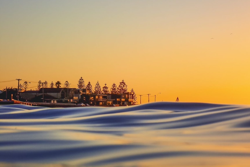 A picture looking from the water back towards Altona at sunrise