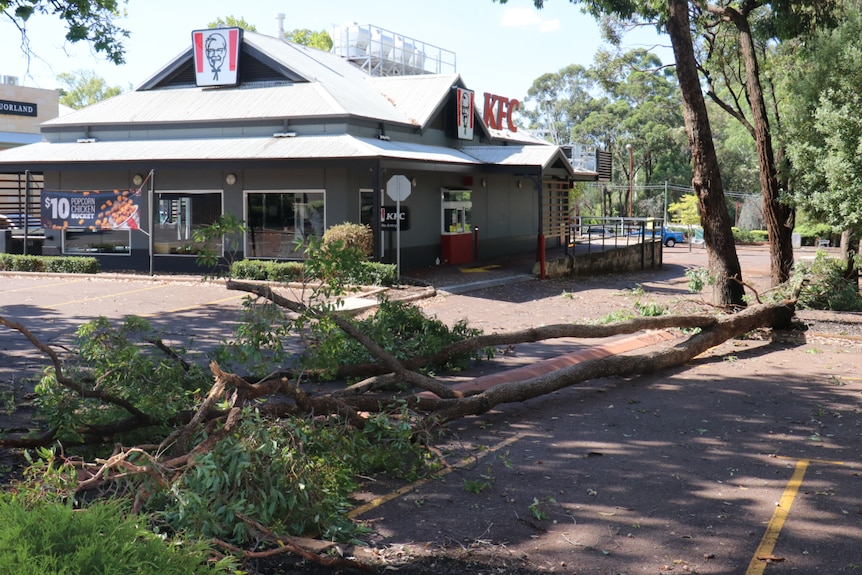 Trees down in a fast food restaurant car park