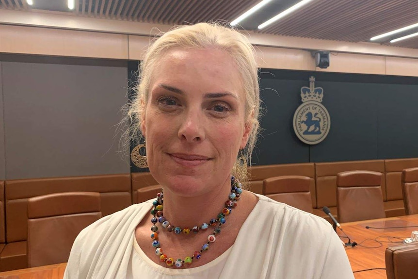 A woman standing in a Parliamentary committee room looks at the camera .