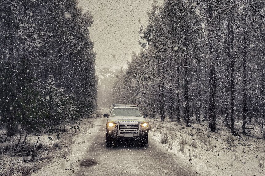 Tasmania Police 4WD on a snowy forest road.