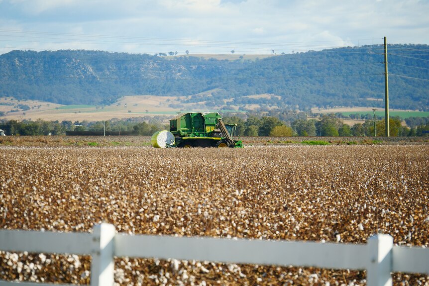 A harvester with a cotton bale coming out moves across a paddock.