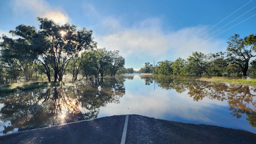 A large expnase of water covers a road on a still morning. mist and trees reflect off the water. 
