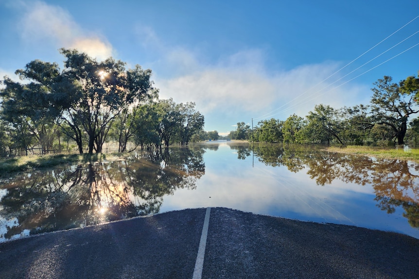 A large expnase of water covers a road on a still morning. mist and trees reflect off the water. 