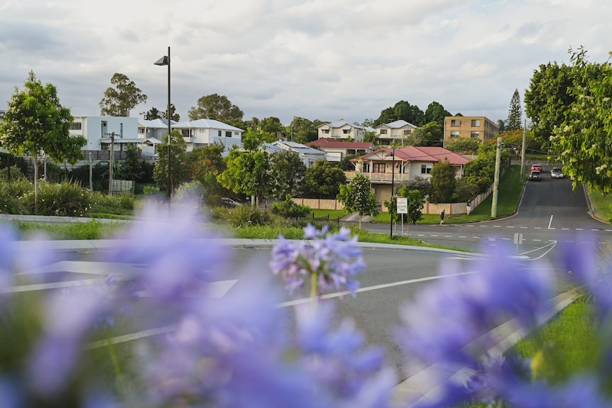A suburban street with flowers in the foreground and houses in the background.