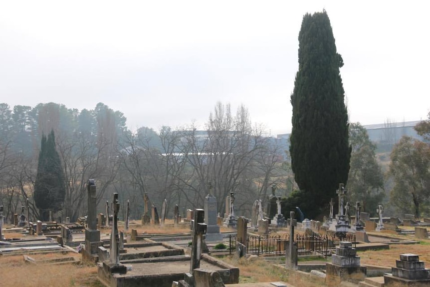Queanbeyan Riverside Cemetery in winter.