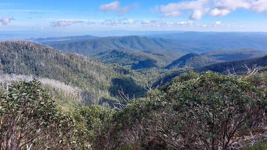 A panoramic view across the Mount Stirling region 