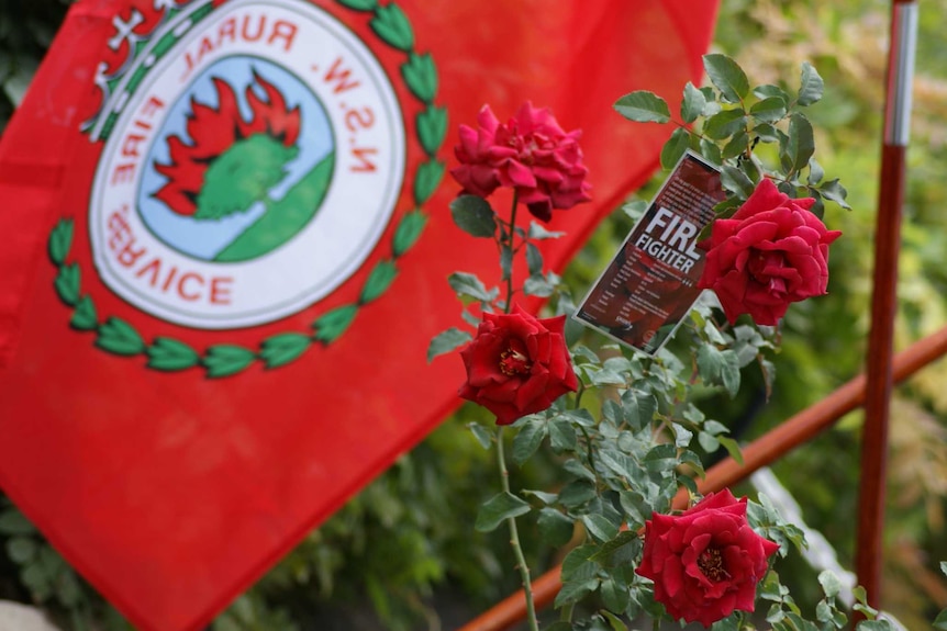 Red rose bush and fire fighting flag