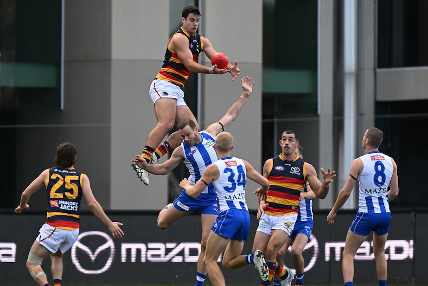Darcy Fogarty soars above North Melbourne opponents as he takes a mark