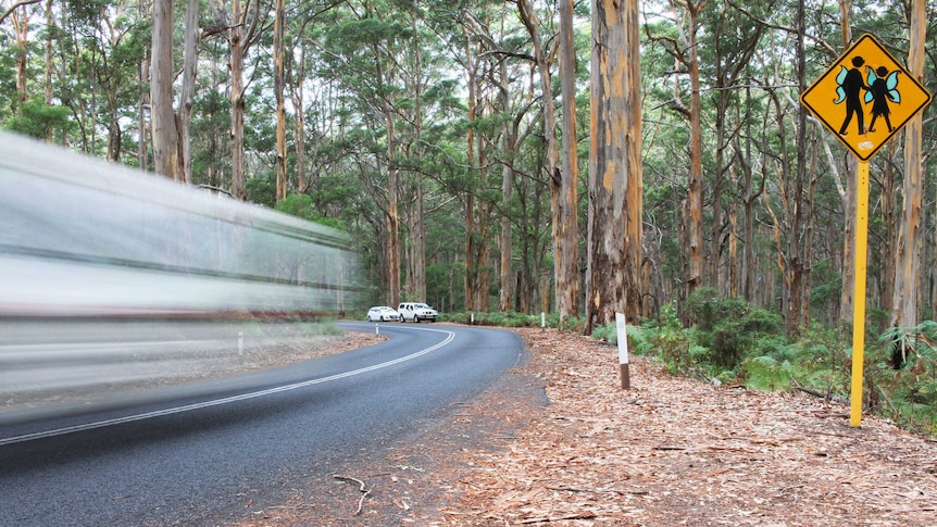 A road surrounded by forest. A car is moving by quickly.