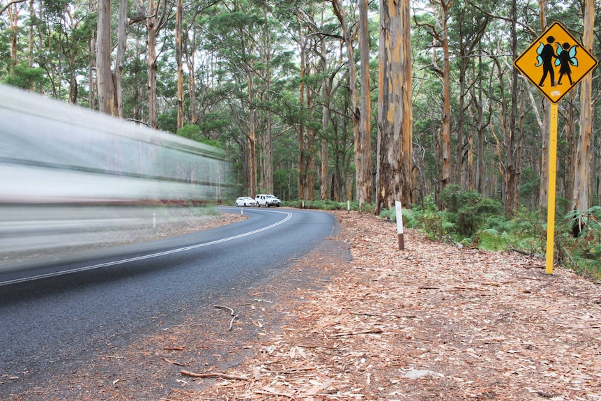 A road surrounded by forest. A car is moving by quickly.
