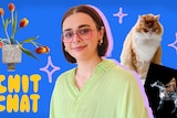 An image of Hattie cut out against a blue background with Jerry, right, Beyonce's Renaissance album, right, and tulips, left.