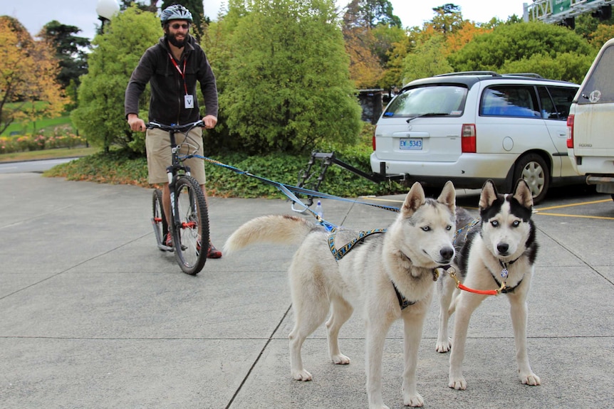 Matt Baker with his huskies and scooter