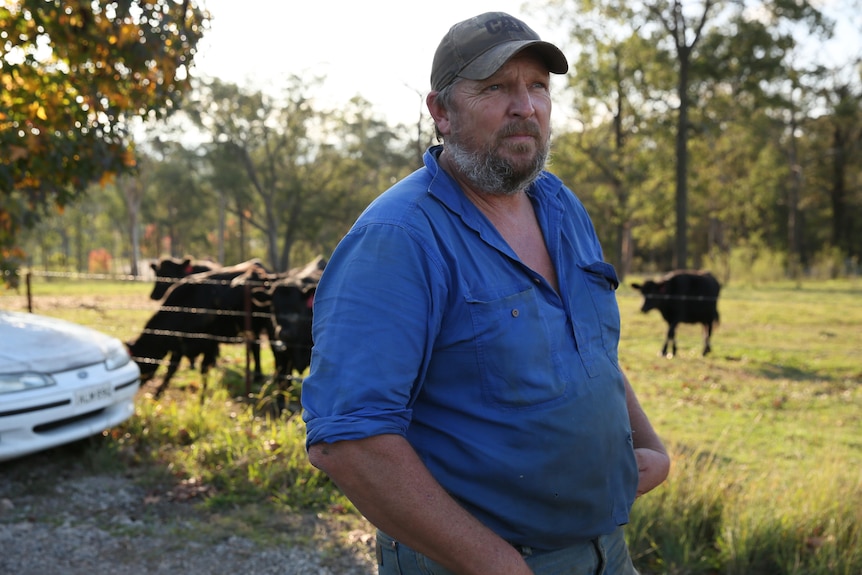 a man standing outdoors on a paddock with cows behind him and wearing a cap and looking out over the land