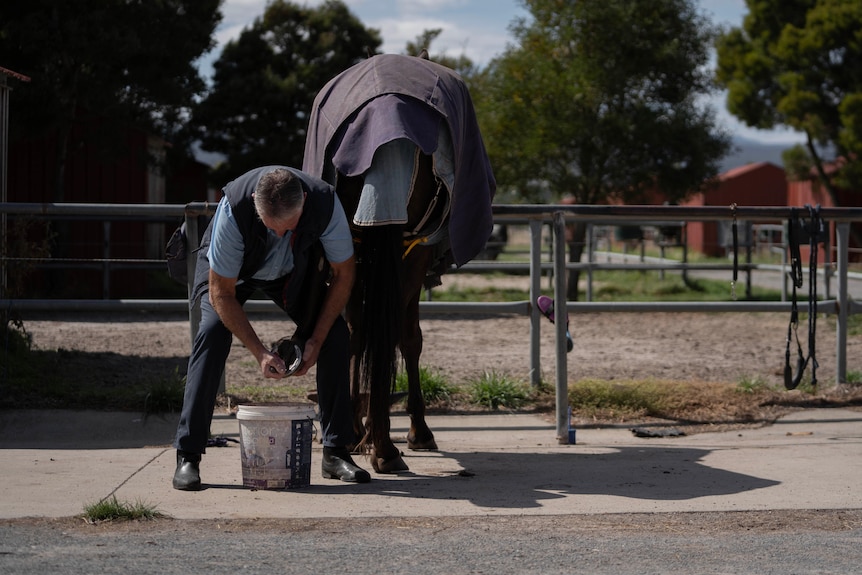 A man shoes a horse.