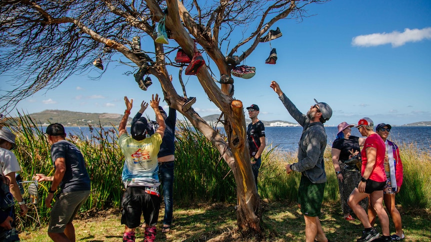 people throwing shoes on a tree