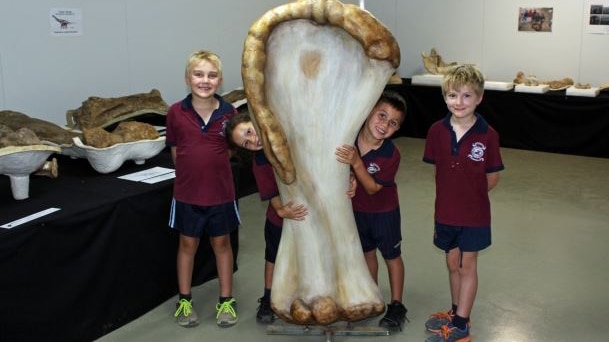 A 3D printed bone worth about $3500 at the museum.