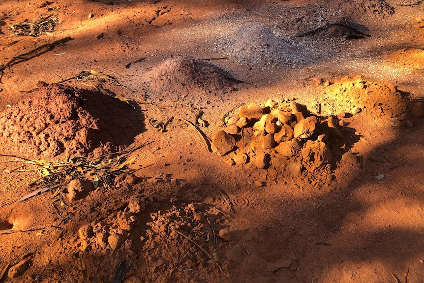 Nickel mounds lie in a pile of red dirt