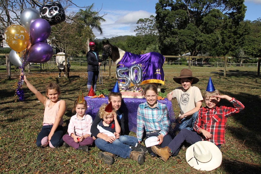 An old horse with children at a birthday party in paddock