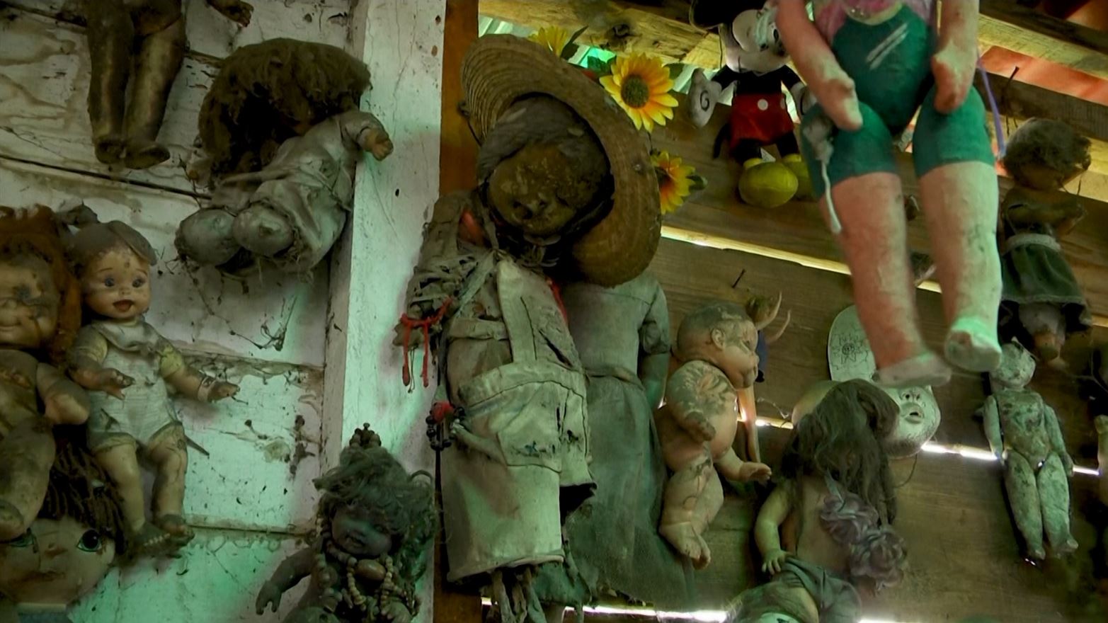 The spooky story behind the Mexican Island of Dolls bring chills to those  who visit - ABC News