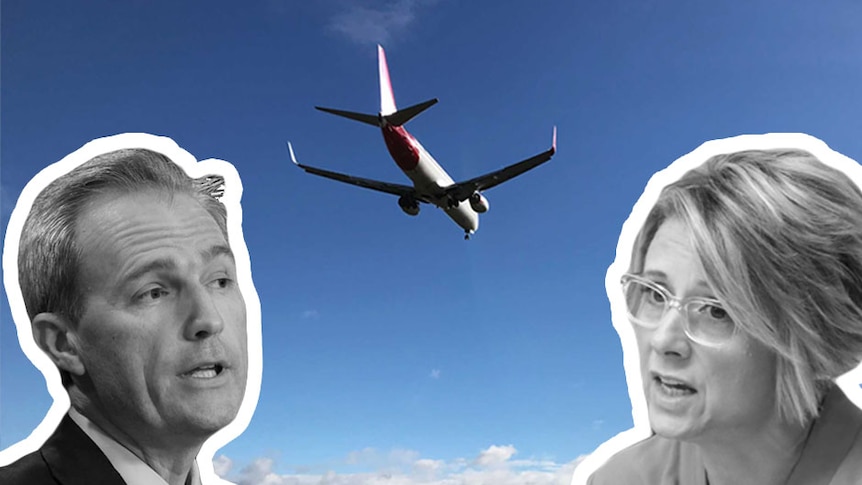 David Coleman and Kristina Keneally composite with plane in background