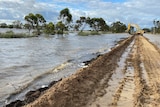 An excavator stands on a muddy dirt road on the edge of a flooded creek on a farming property.