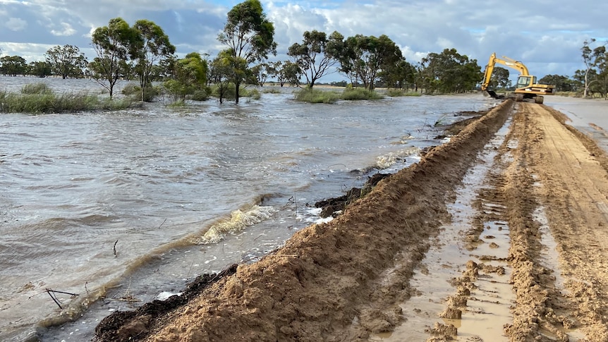 An excavator stands on a muddy dirt road on the edge of a flooded creek on a farming property.