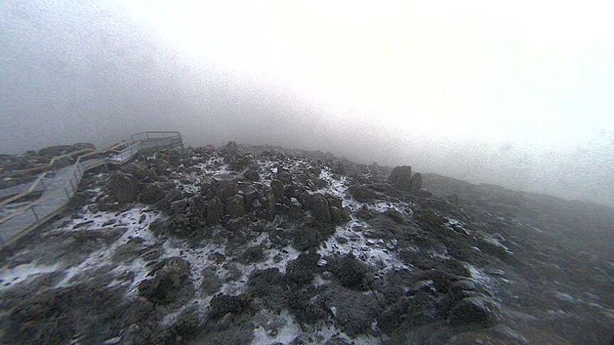Webcam image of snow at Mt Wellington/kunanyi summit, January 31, 2018.