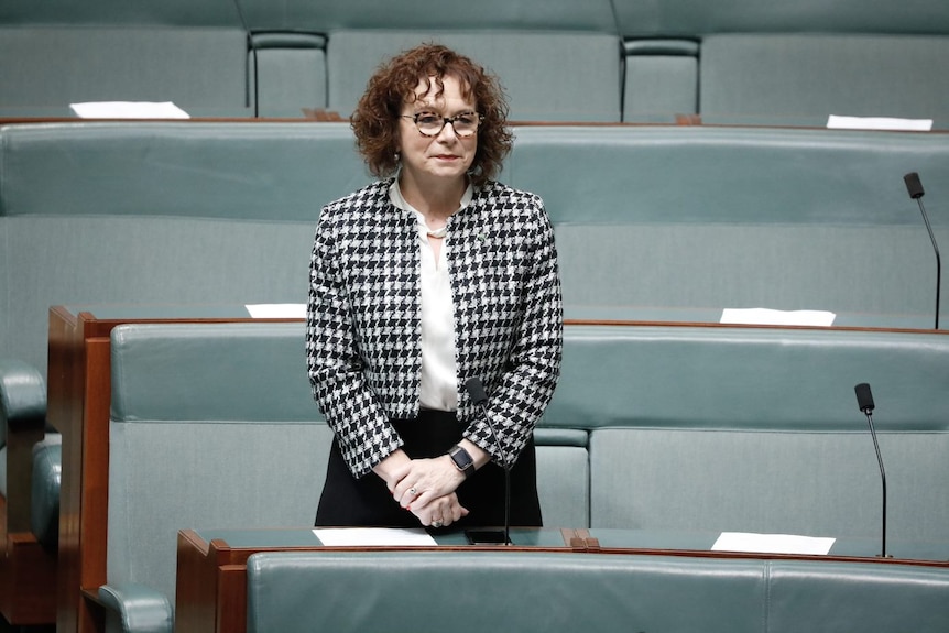 A woman with curly hair, wearing a black and white checked jacket, standing in parliament with her hands clasped in front.