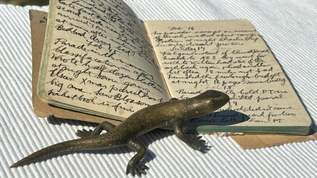 An open diary with handwriting and a brass lizard resting on top.