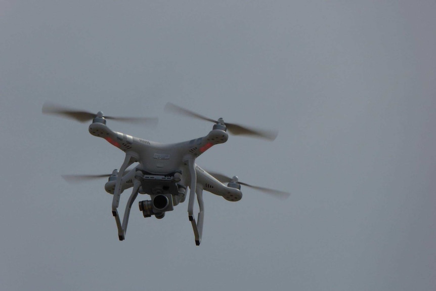 A drone operated by Albany Sea Rescue relays footage back to shore.