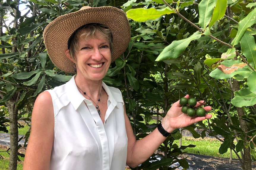 A woman in a straw hat smiles at the camera next to a row of macadamia trees.