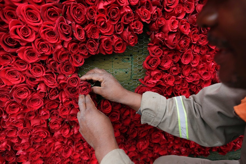 A local works on placing roses on a structure made to resemble the Cochasqui pyramid temple.