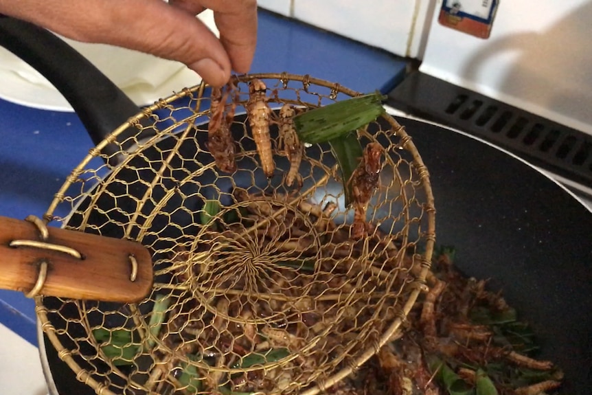 A photo of locusts being friend with pandan and kaffir leaves.