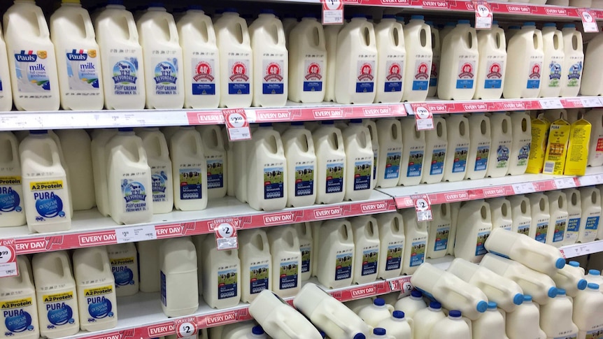 milk on shelves in the supermarket