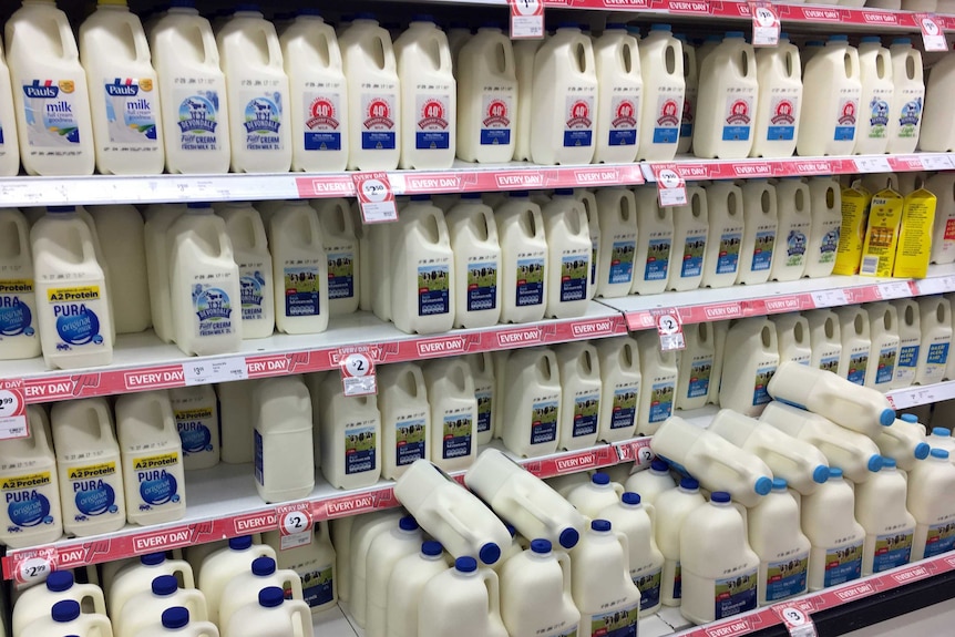 milk on shelves in the supermarket