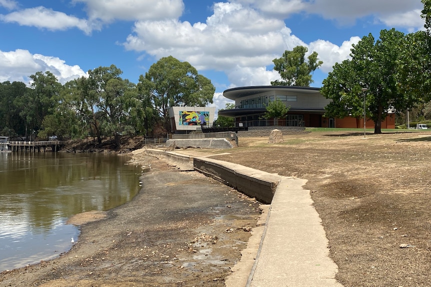 Mildura River front with brown grass following the flood.