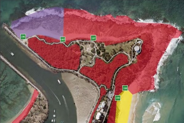 A map of a coastal headland with colours including red, purple and yellow.
